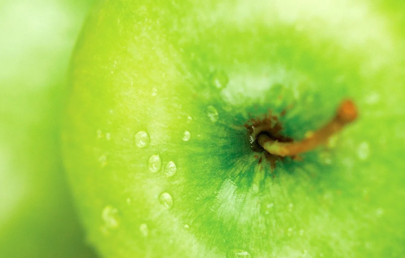 Photo wallpaper drops, macro, green, apples