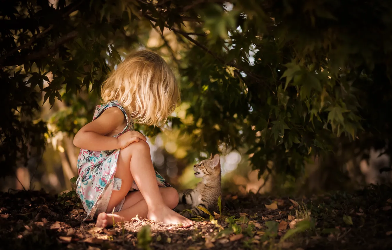 Photo wallpaper cat, trees, branch, foliage, girl, kitty, bokeh, communication