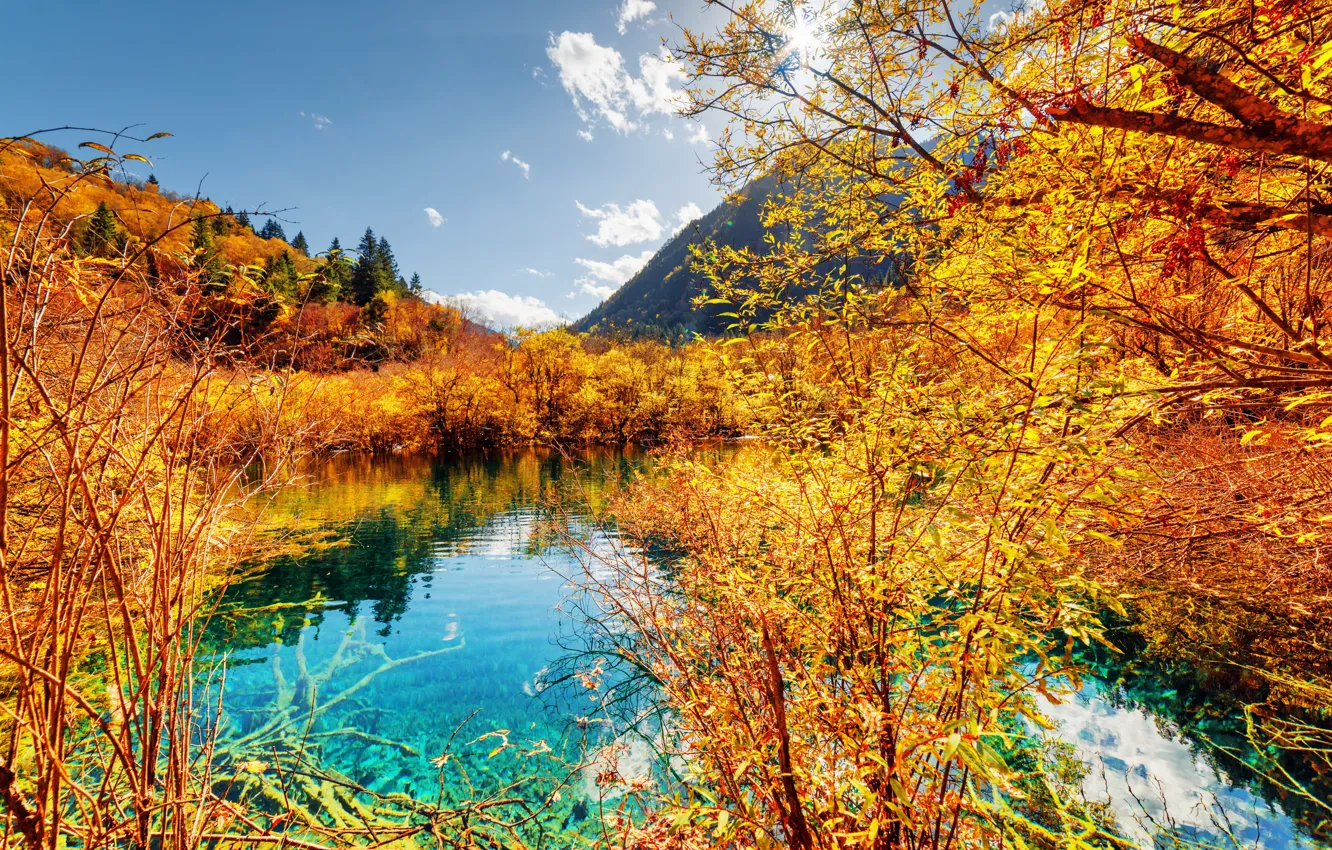 Photo wallpaper autumn, forest, trees, mountains, yellow, lake, China, Sunny
