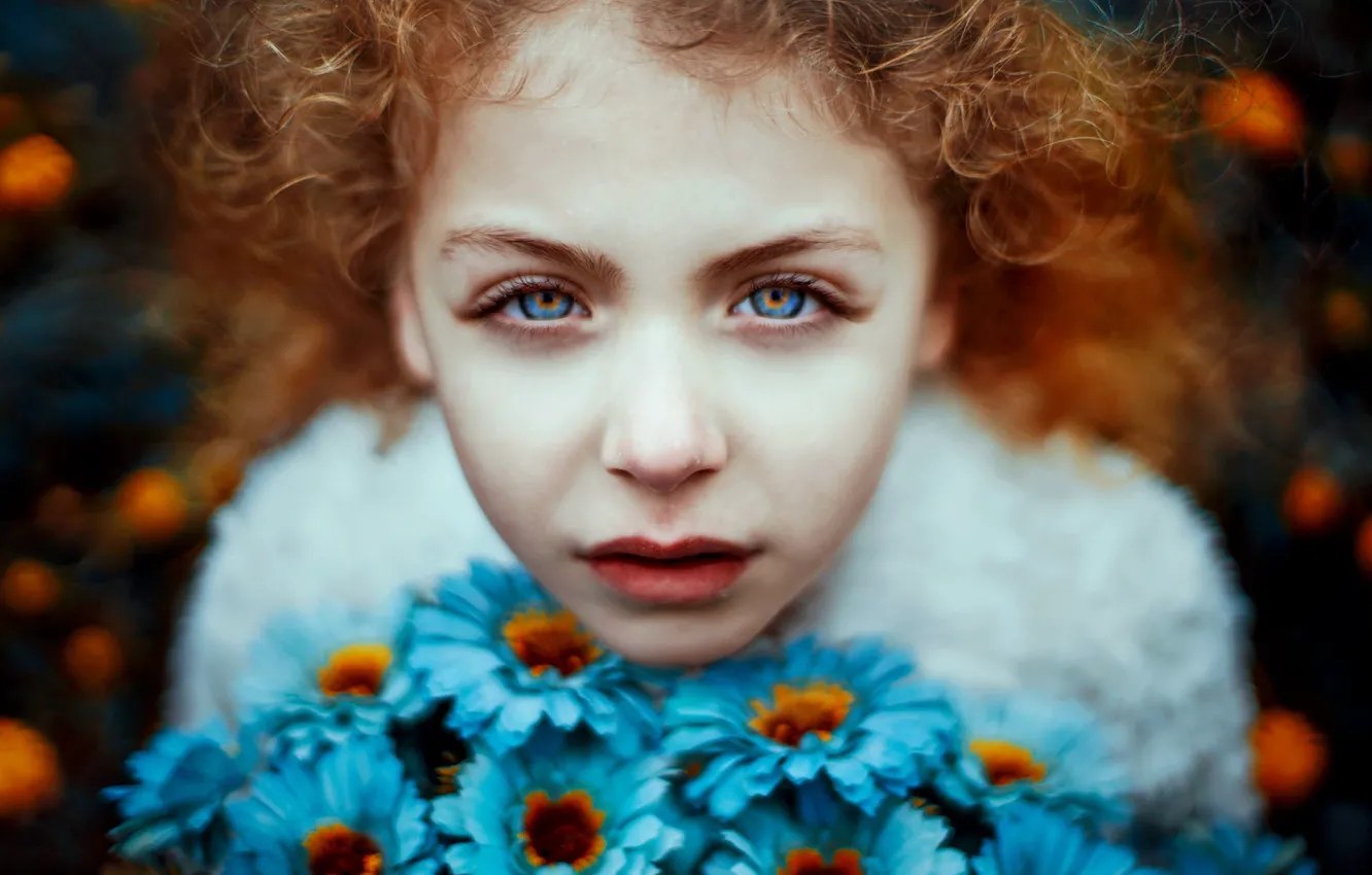 Photo wallpaper look, flowers, face, mood, blur, red, blue eyes, curls