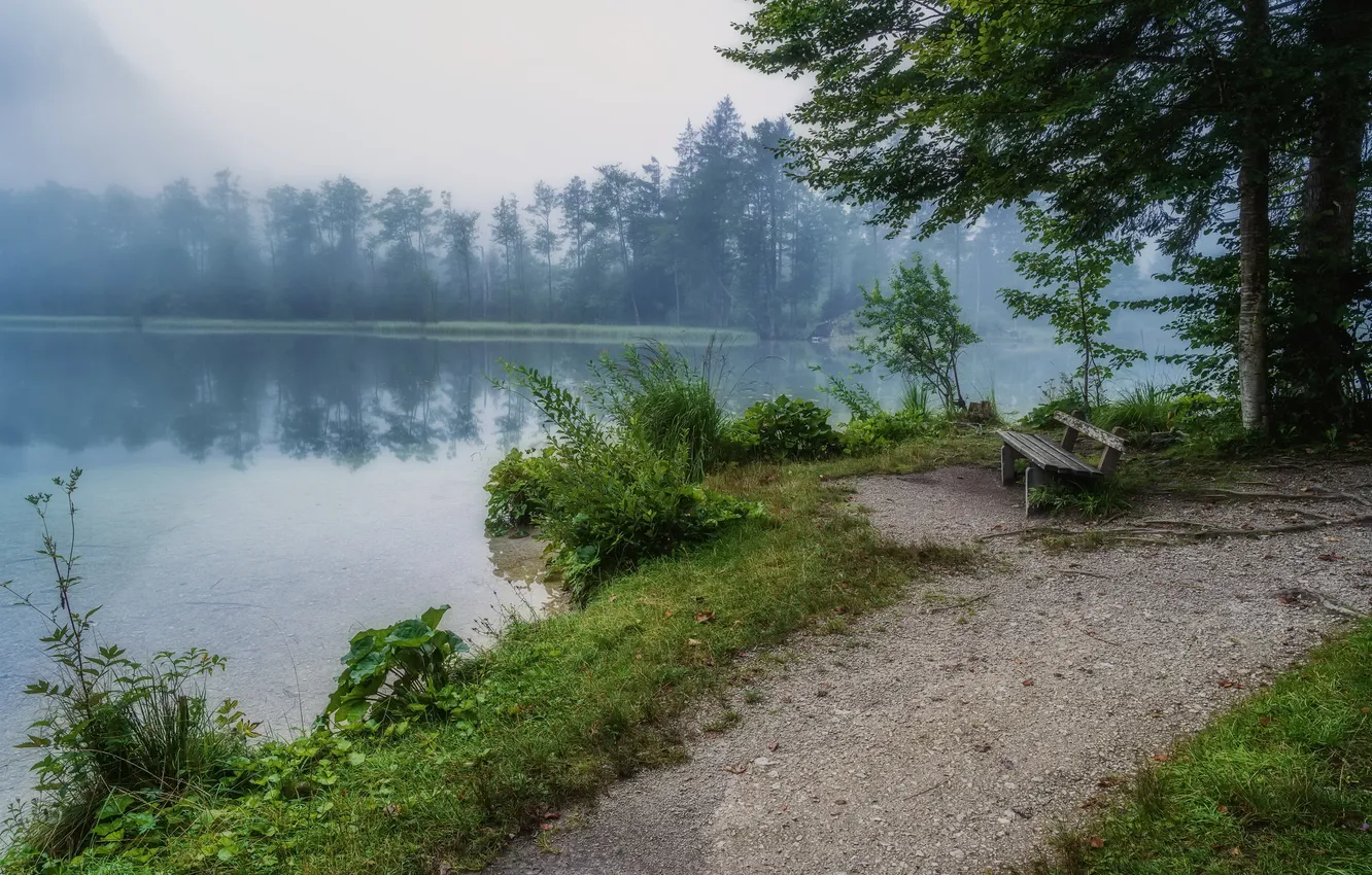 Photo wallpaper Park, shore, bench