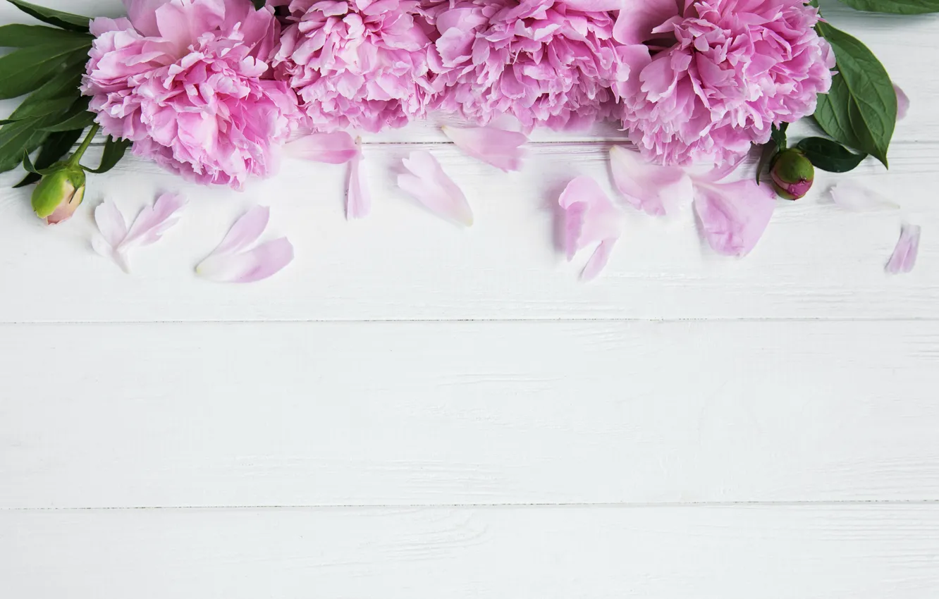 Photo wallpaper flowers, pink, wood, pink, flowers, peonies, peonies