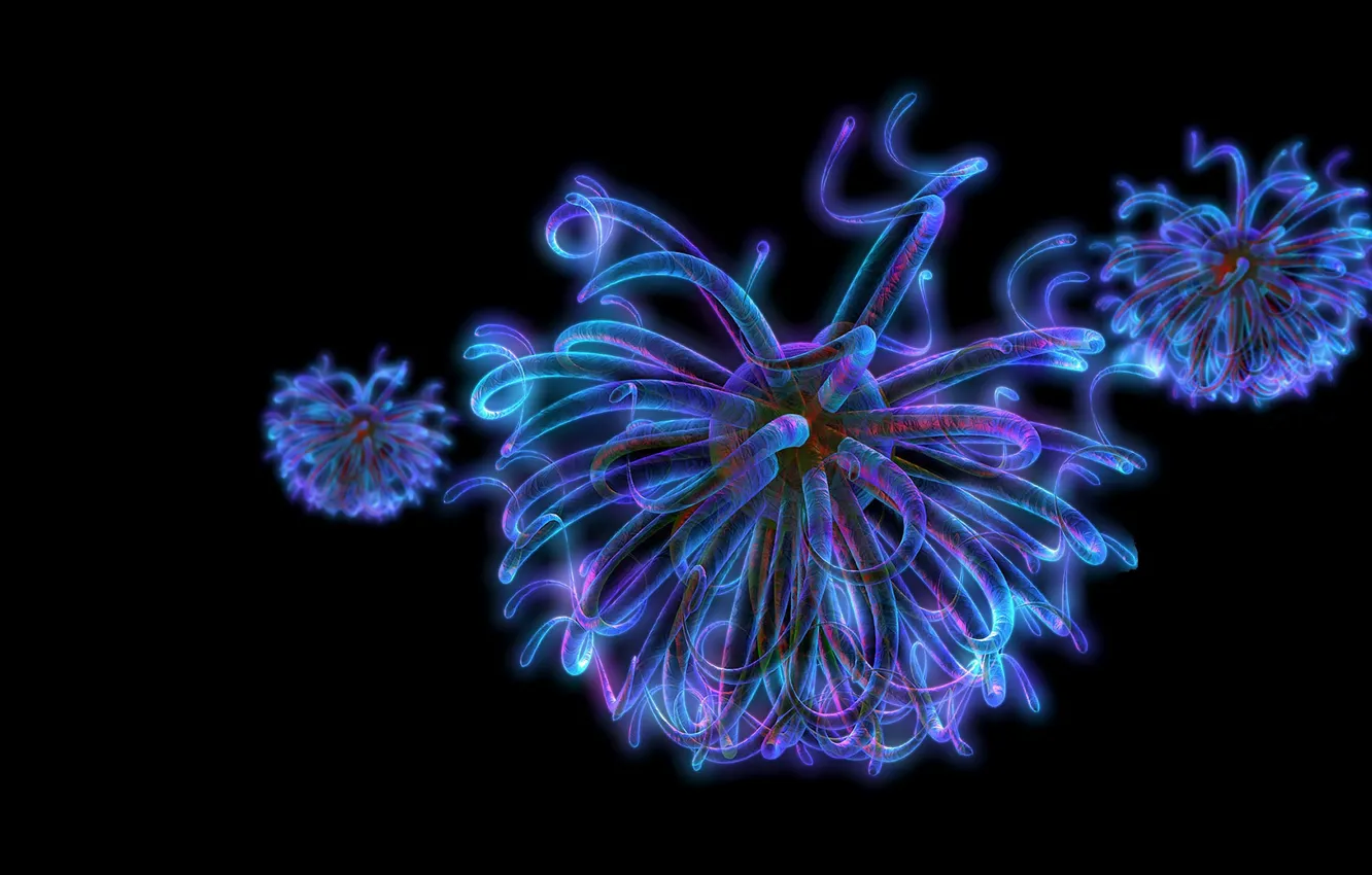 Photo wallpaper abstraction, virus, bacteria