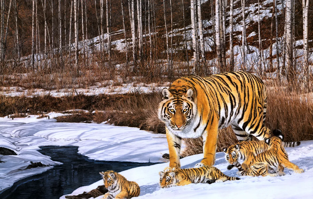 Photo wallpaper winter, forest, snow, tiger, figure, picture, art, cub