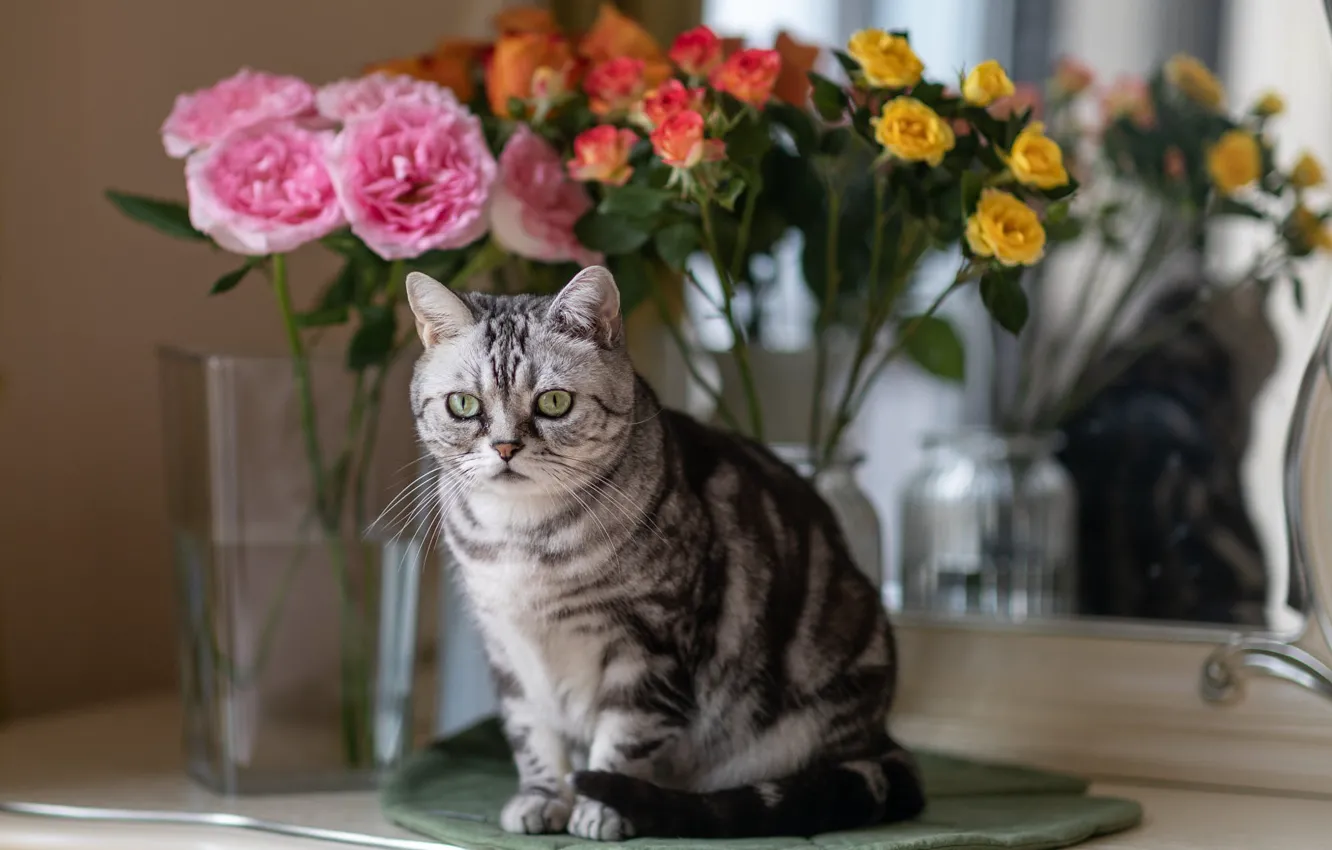 Photo wallpaper cat, cat, flowers, orange, yellow, reflection, grey, roses