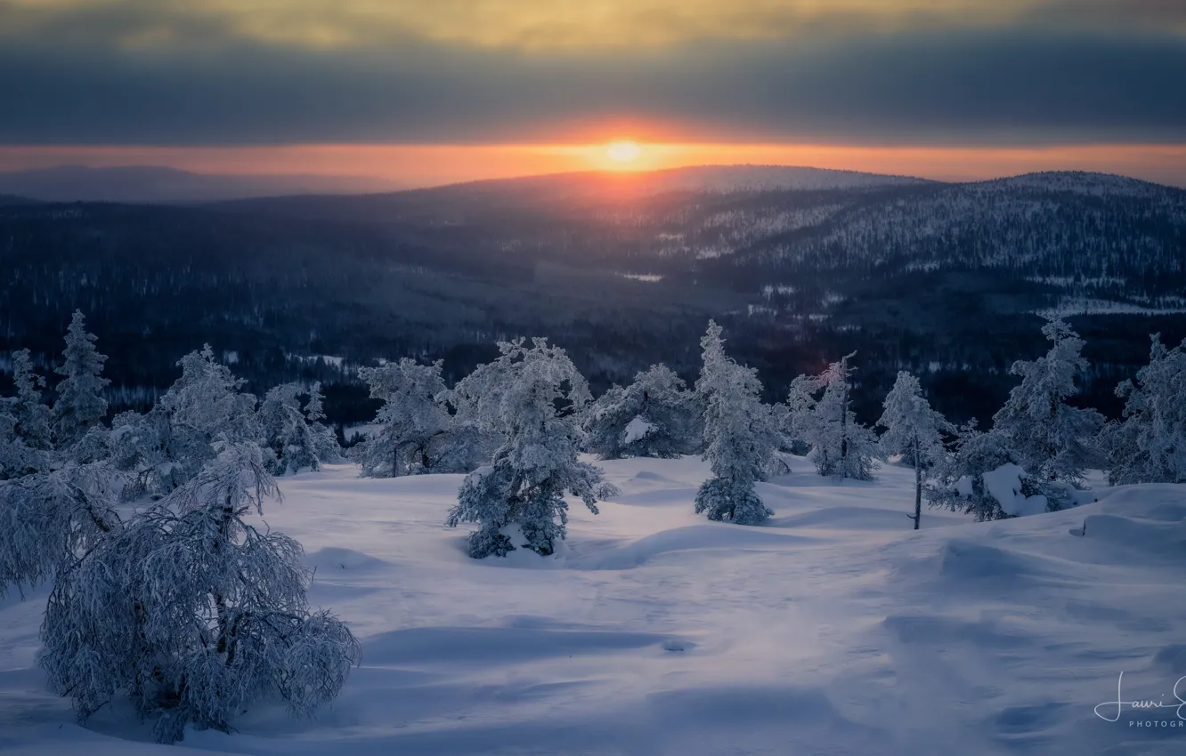 Photo wallpaper winter, snow, trees, sunset, mountains, hills, the snow, Finland