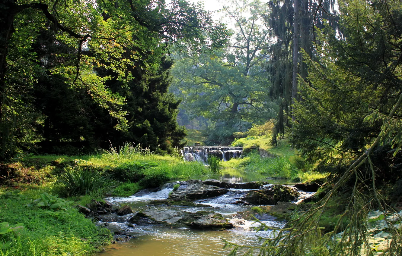 Photo wallpaper forest, nature, waterfall, river