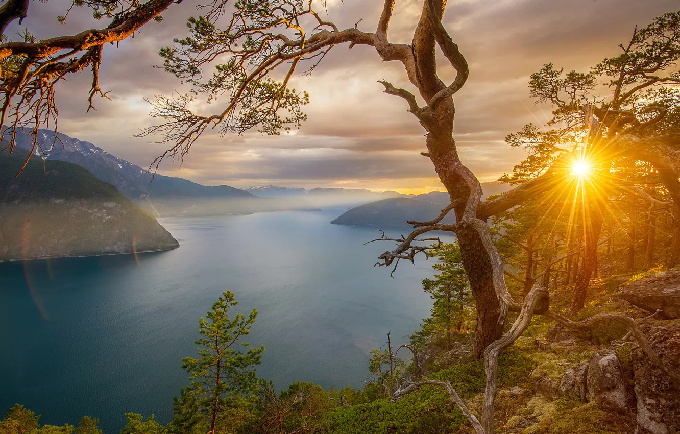 Photo wallpaper trees, sunset, mountains, stones, rocks, Norway, Bay, the rays of the sun