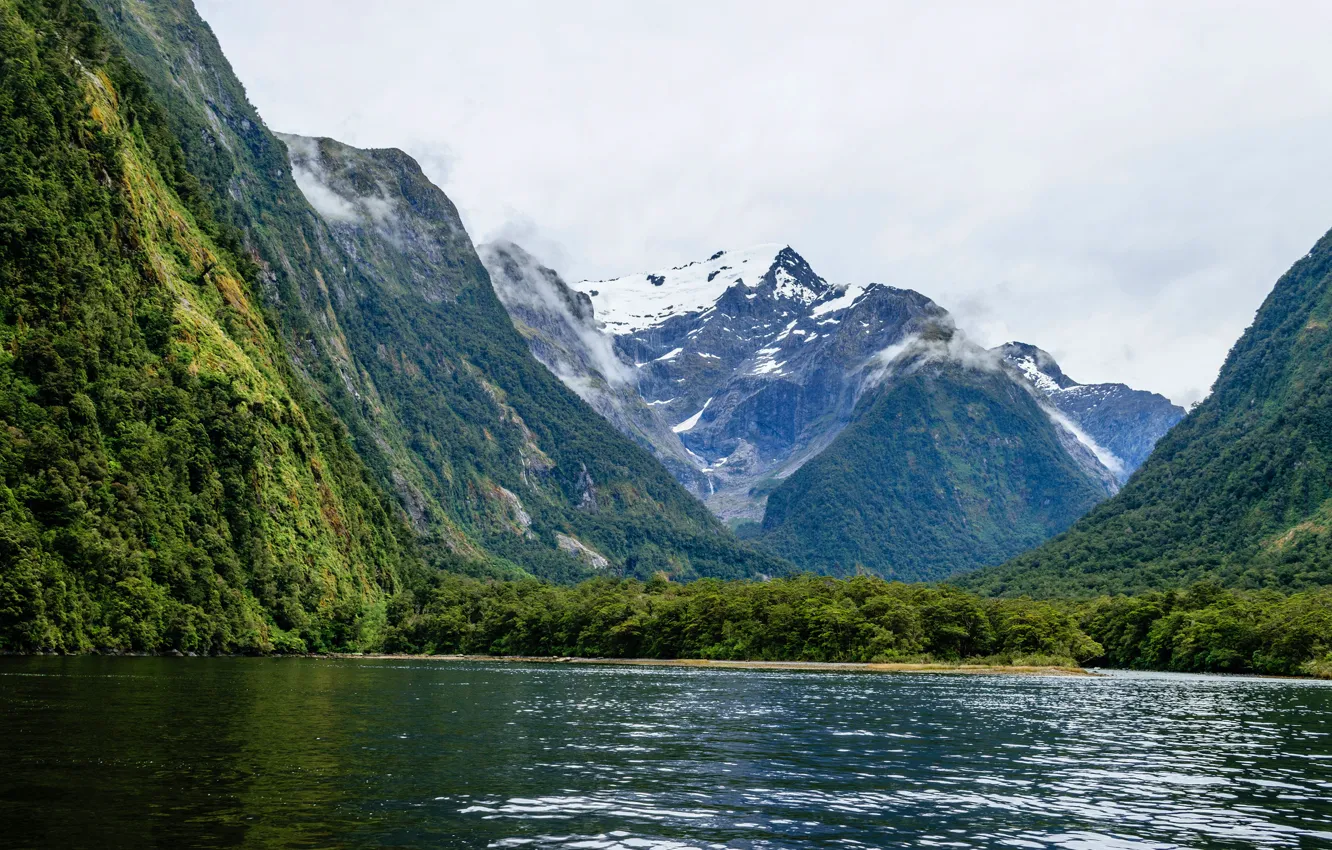 Photo wallpaper forest, trees, mountains, rocks, shore, New Zealand, Bay, the fjord