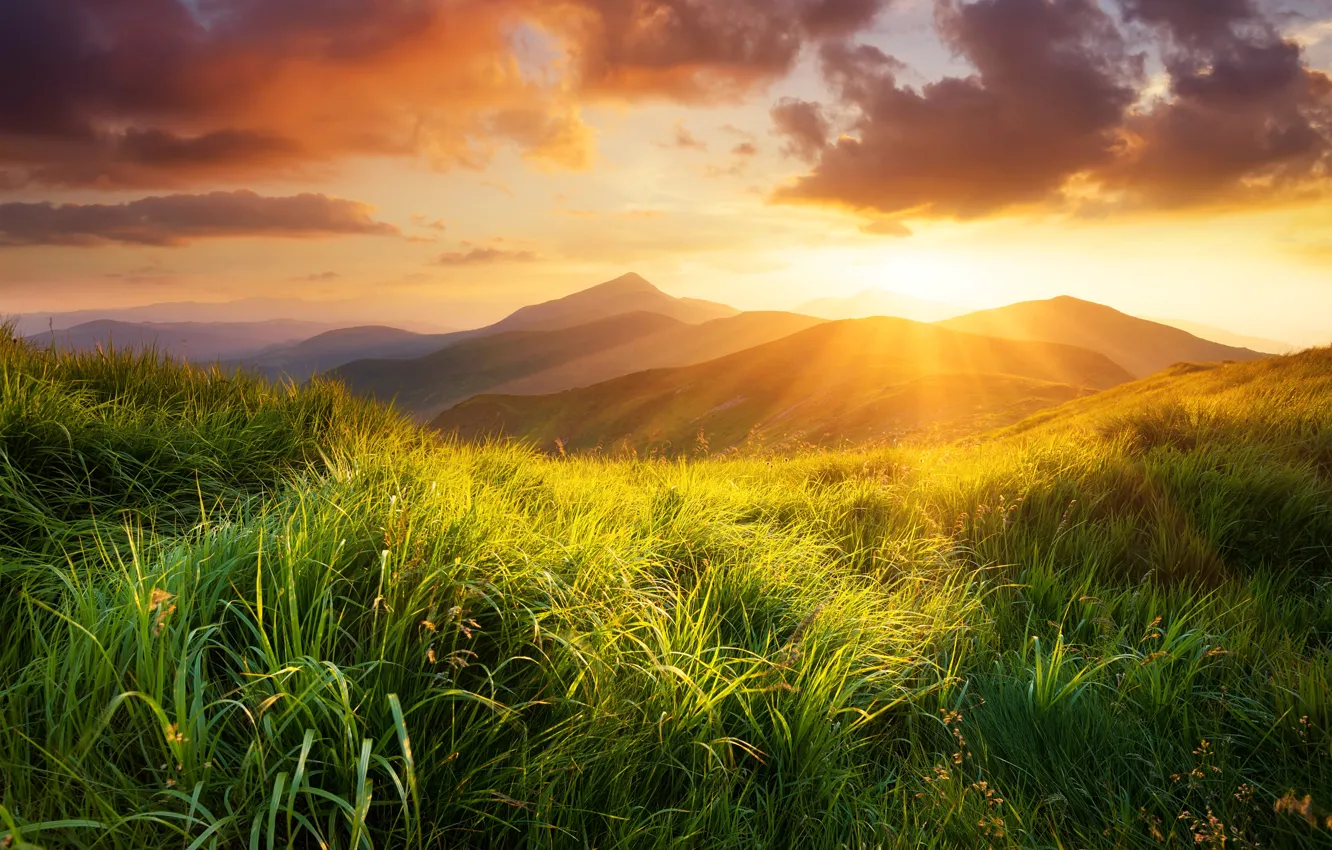 Photo wallpaper grass, clouds, rays, landscape, sunset, mountains