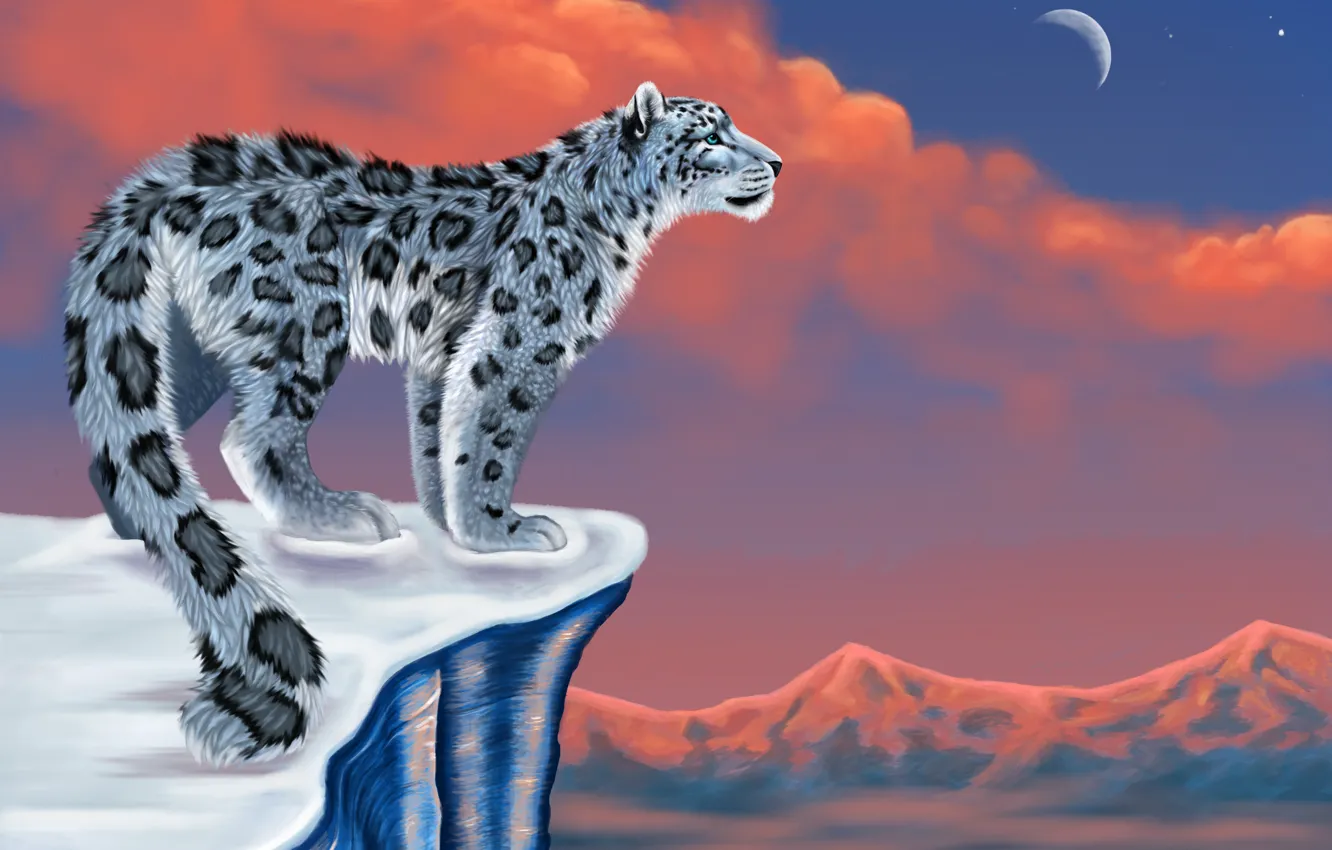 Photo wallpaper snow, mountains, the moon, figure, IRBIS, snow leopard, snow leopard