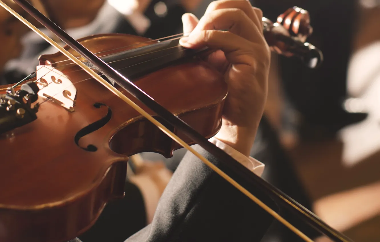 Photo wallpaper violin, strings, concert