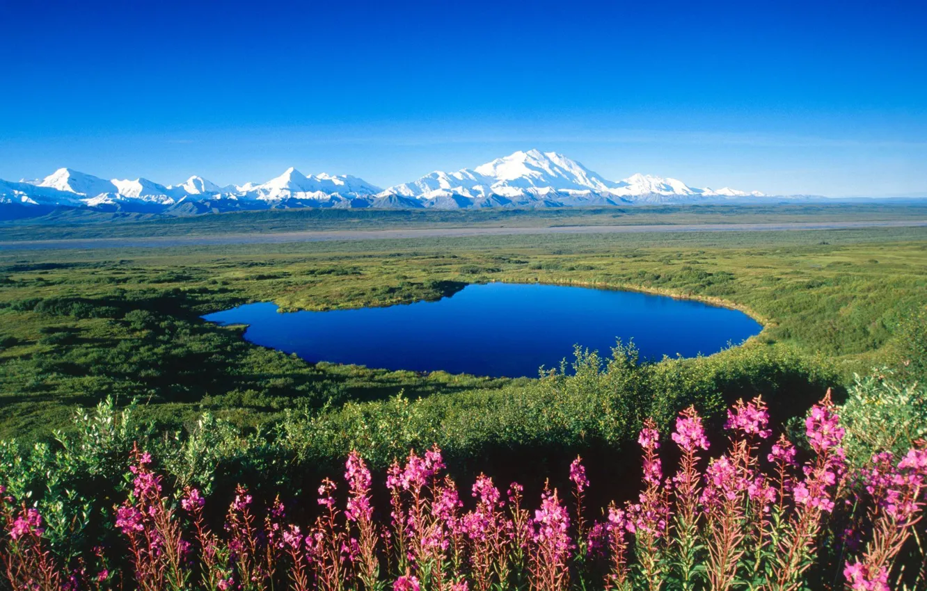 Photo wallpaper snow, flowers, mountains, lake, the steppe, Alaska
