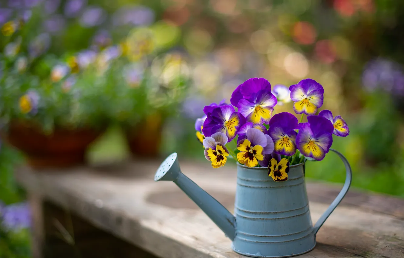 Photo wallpaper summer, flowers, bench, yellow, cute, bouquet, garden, pot