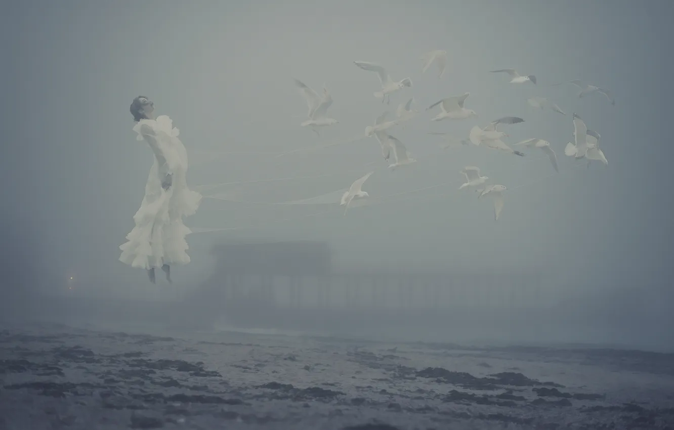 Photo wallpaper sea, girl, fog, shore, seagulls