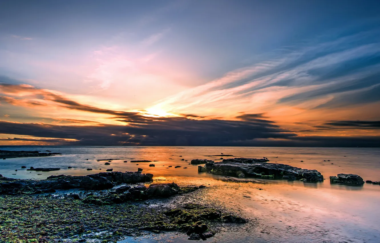 Photo wallpaper sea, algae, sunset, clouds, stones