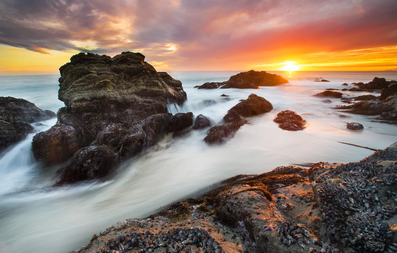 Photo wallpaper sea, stones, rocks, stream