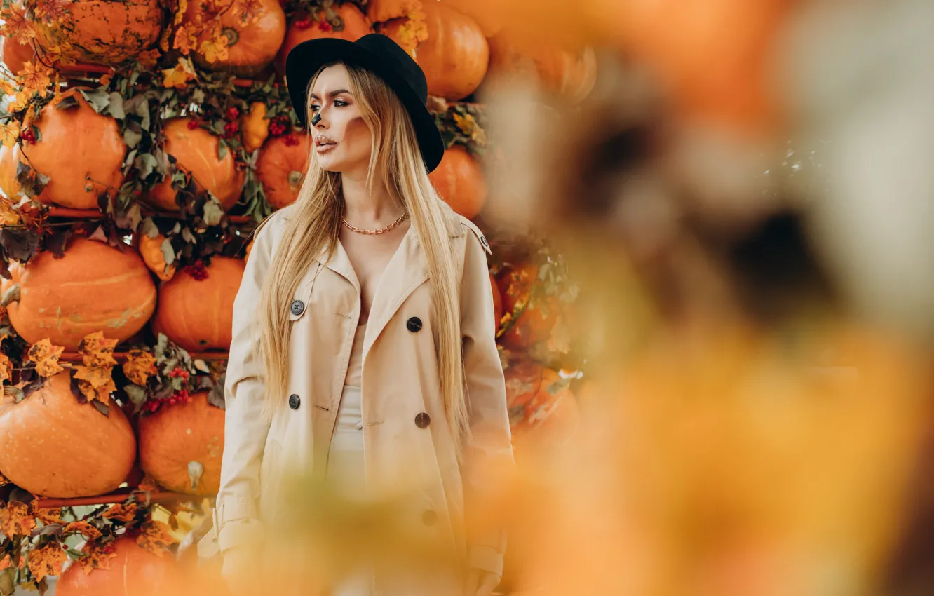 Photo wallpaper autumn, girl, holiday, makeup, pumpkin, Halloween, witch, Halloween
