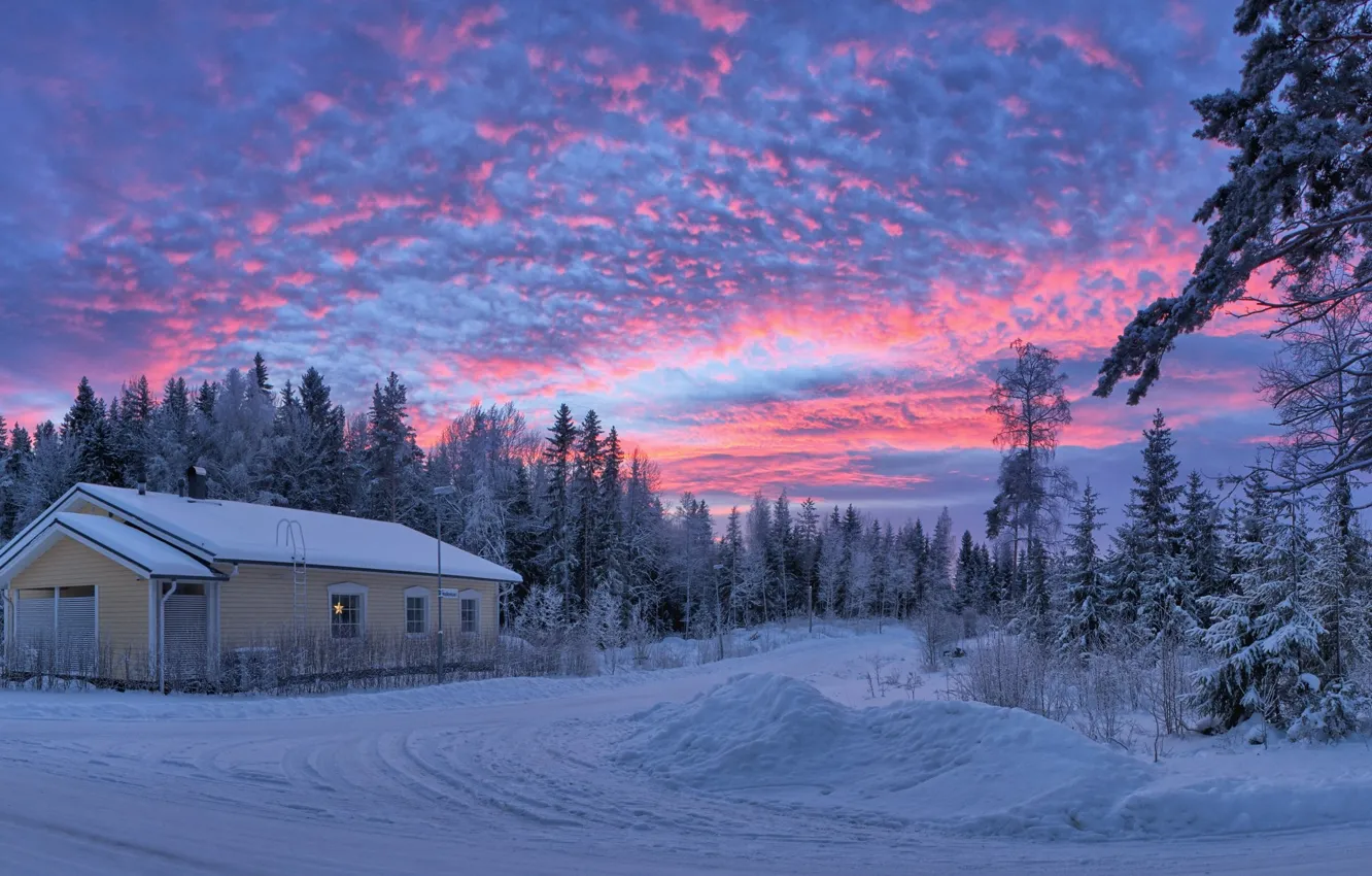 Photo wallpaper winter, forest, snow, trees, sunset, home, panorama, houses