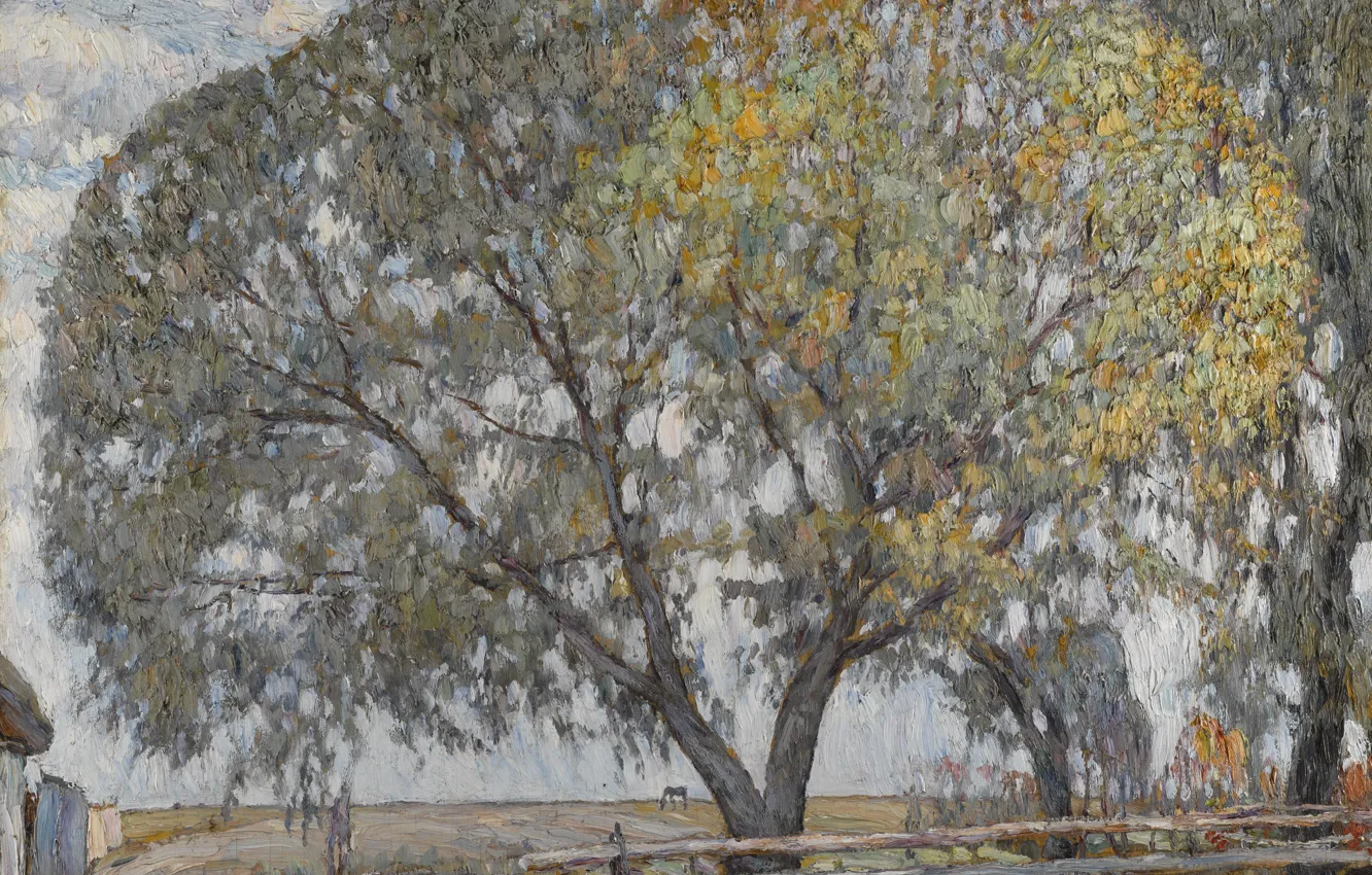 Photo wallpaper Abraham Manievich, 1908 oil on board, THE WILLOW
