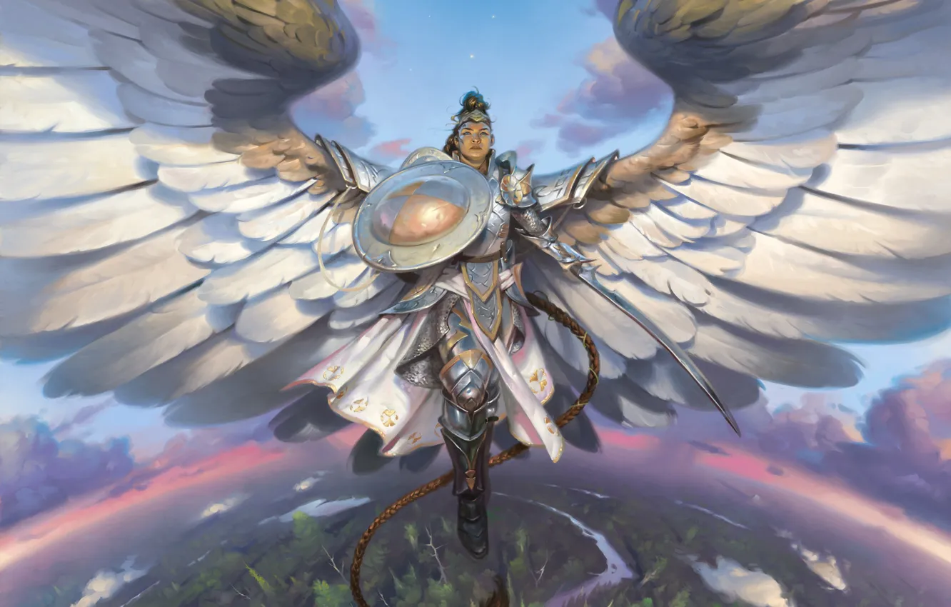 Photo wallpaper wings, sword, armor, horizon, helmet, braid, shield, art