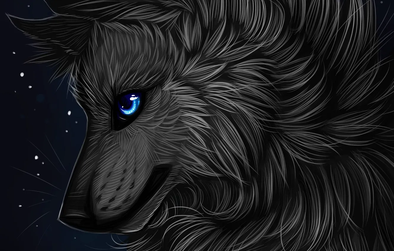 Photo wallpaper profile, myarukawolf, by myarukawolf, black wolf