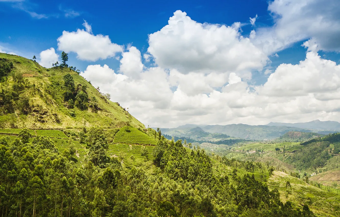 Photo wallpaper green, summer, trees, clouds, hills, hill, Valley, sunny
