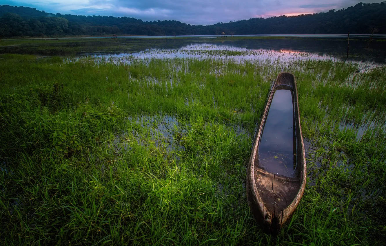 Photo wallpaper greens, forest, summer, the sky, grass, clouds, lake, pond