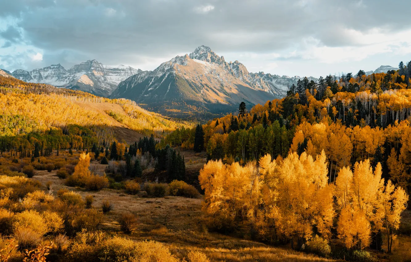 Photo wallpaper forest, sky, trees, landscape, nature, mountains, clouds, plants