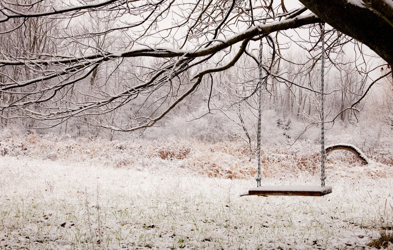 Photo wallpaper winter, snow, swing