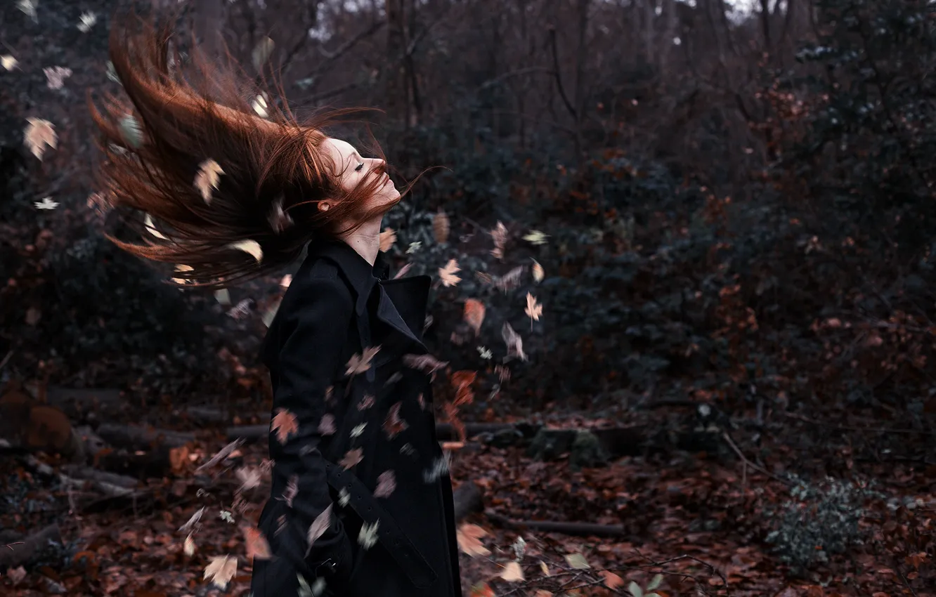 Photo wallpaper leaves, girl, the wind, the situation