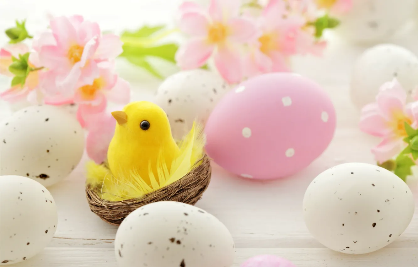 Photo wallpaper flowers, eggs, Easter, socket, flowers, spring, Easter, eggs