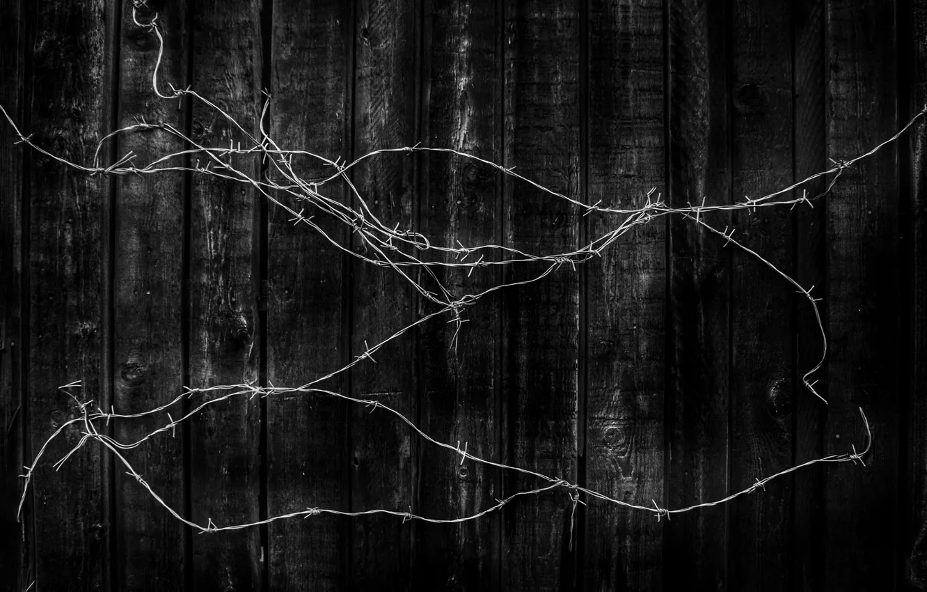 Photo wallpaper Board, black, Barbed wire