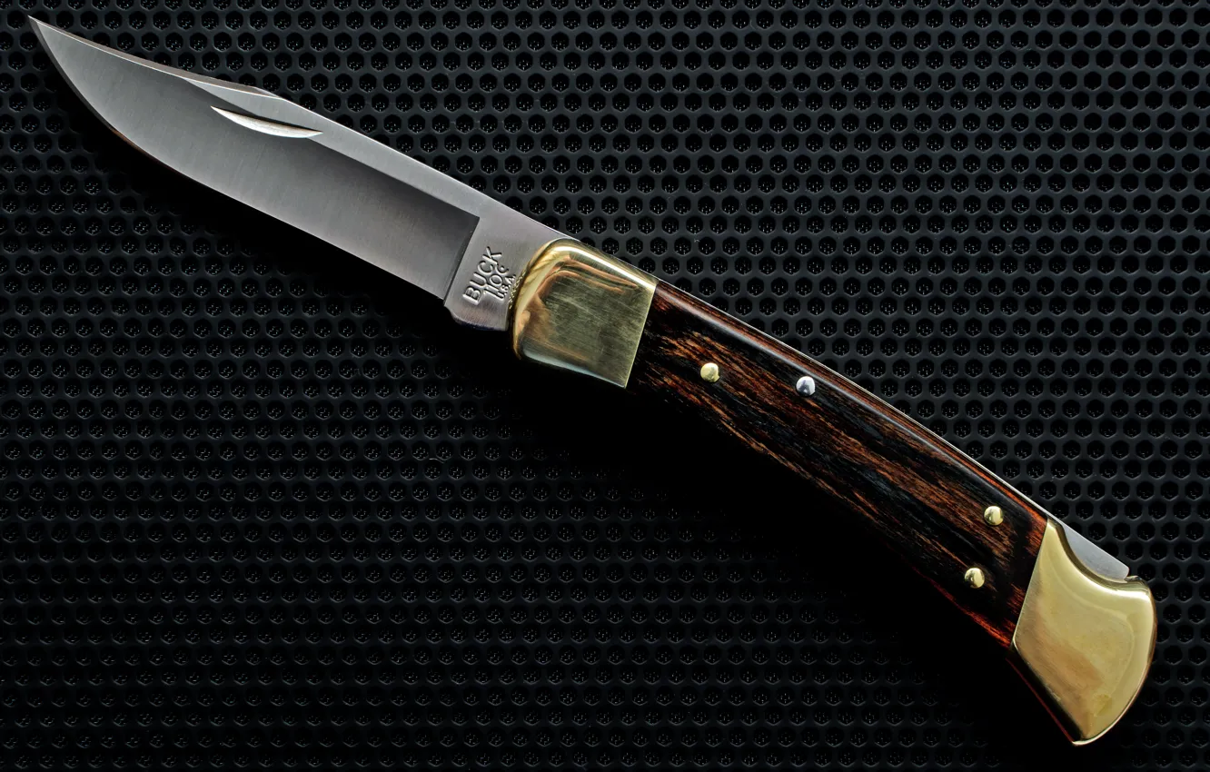 Photo wallpaper knife, Buck, hunter, 110, folding