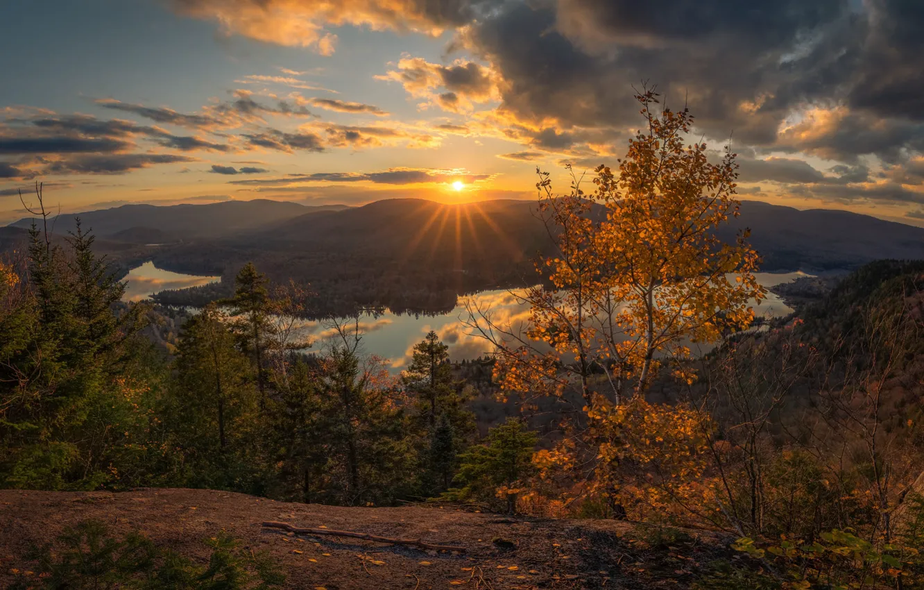 Photo wallpaper birch, trees, shore, mountains, dal, autumn, forest, river