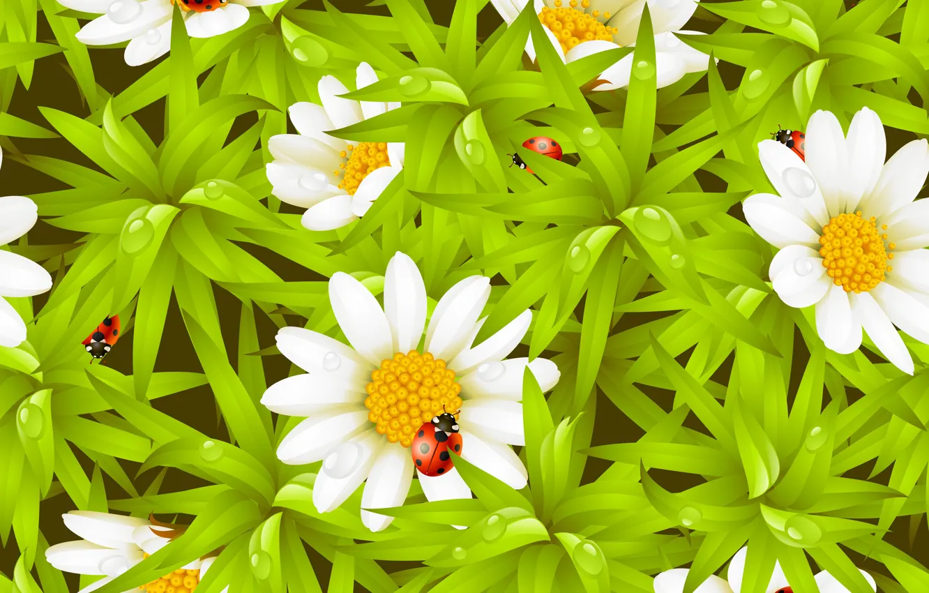 Photo wallpaper droplets, Rosa, ladybug, chamomile