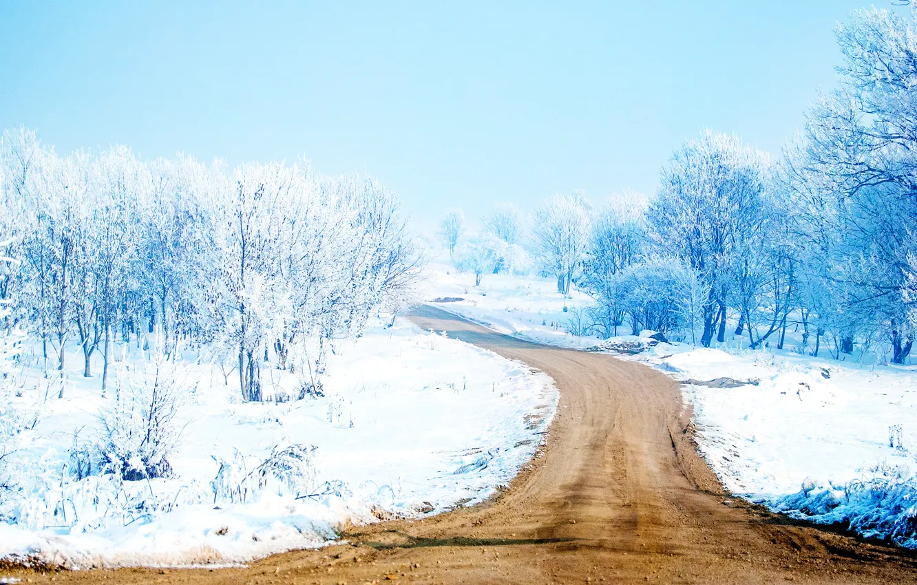 Photo wallpaper road, snow, trees, Snow Way, Snow Path