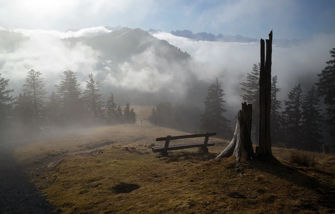 Photo wallpaper mountains, fog, morning, bench