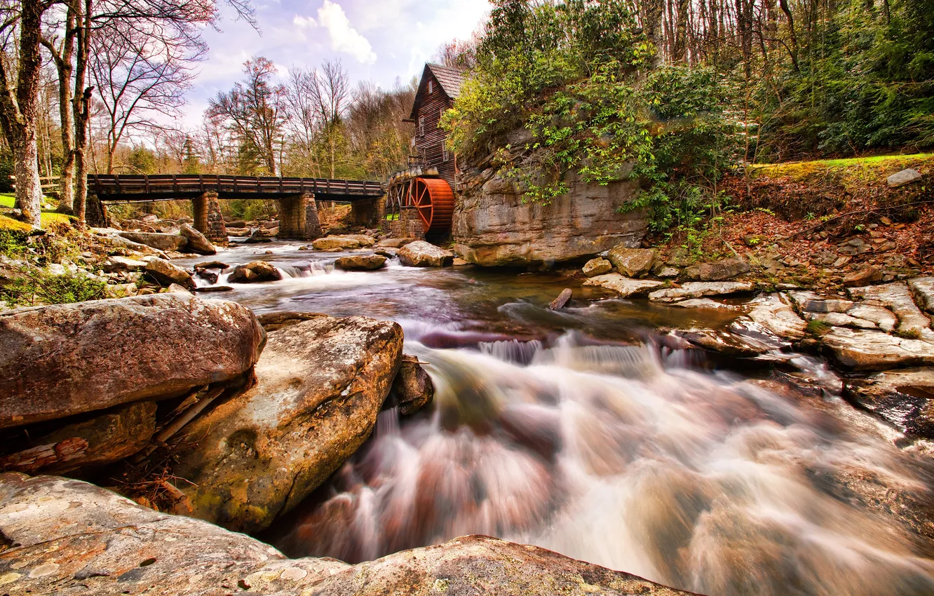 Photo wallpaper forest, the sky, trees, bridge, river, stones, mill