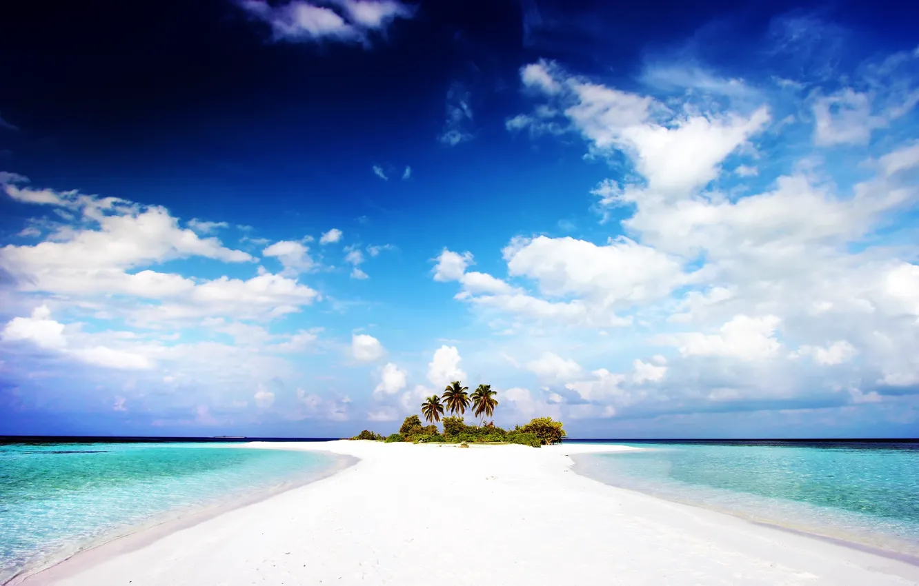 Photo wallpaper beach, palm trees, the ocean, shore, island