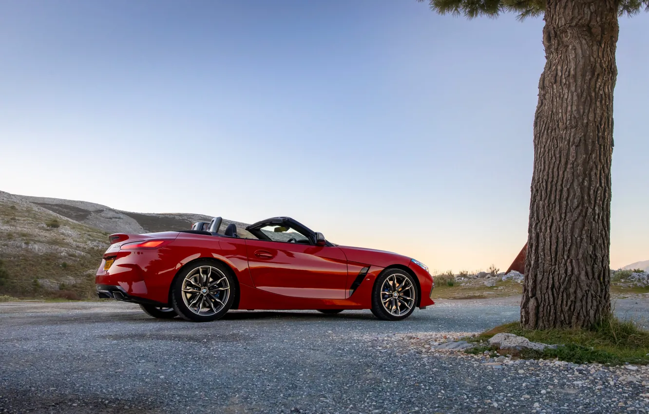 Photo wallpaper red, tree, BMW, Roadster, BMW Z4, M40i, Z4, 2019