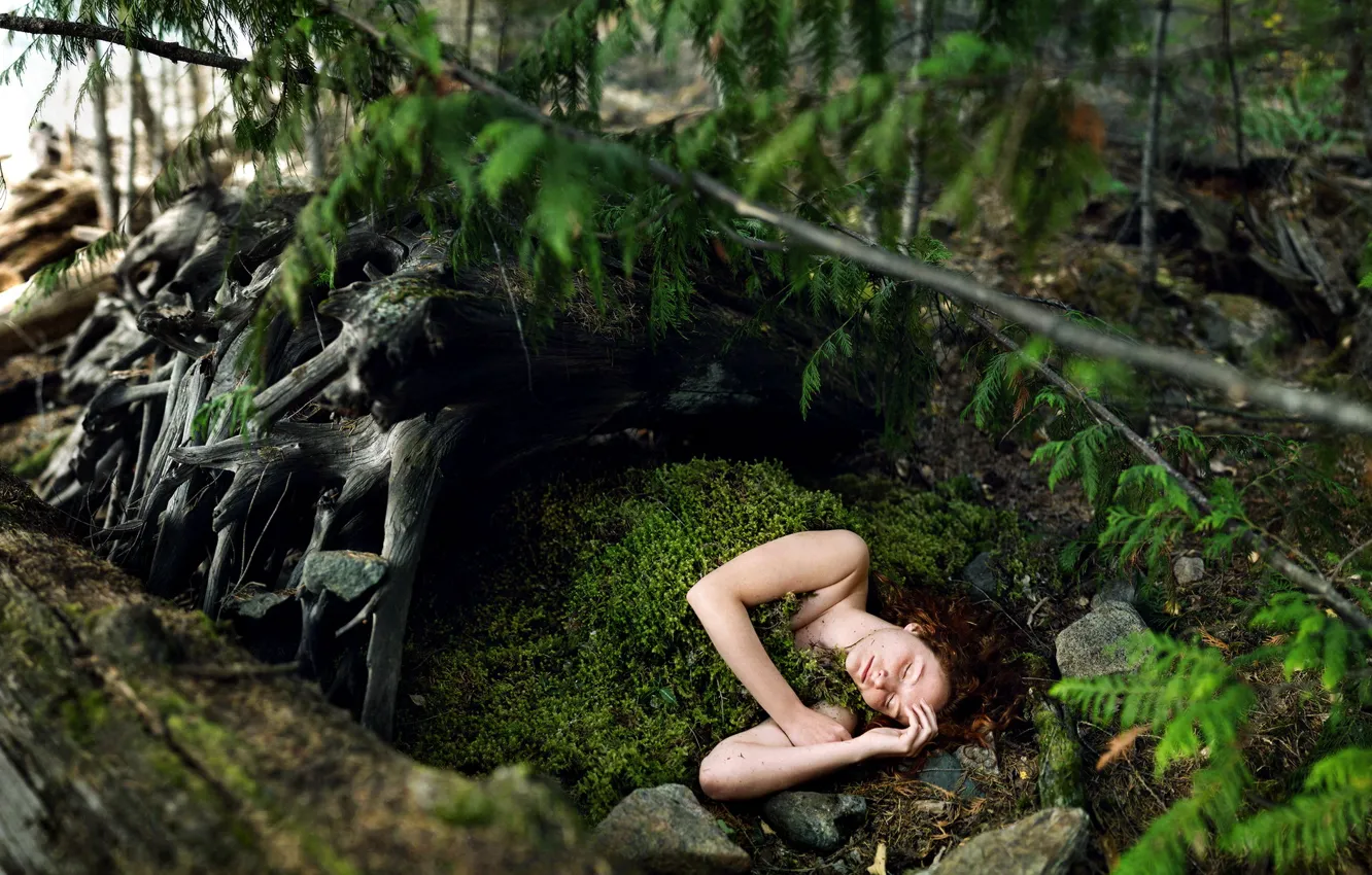 Photo wallpaper forest, girl, moss, the situation