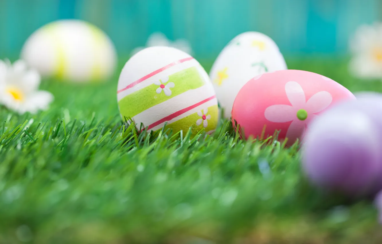 Photo wallpaper grass, flowers, Easter, flowers, spring, Easter, eggs, Happy