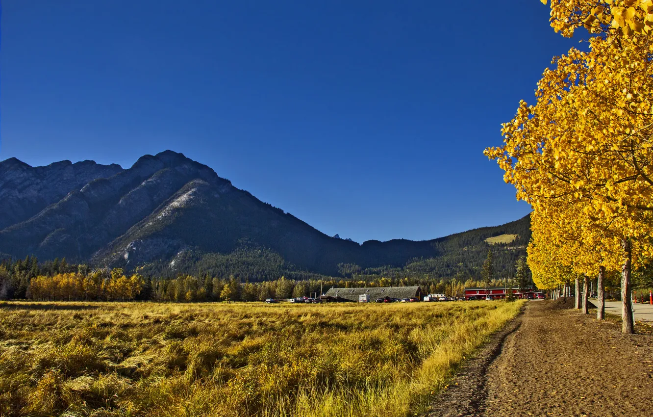 Photo wallpaper autumn, the sky, grass, trees, mountains, home