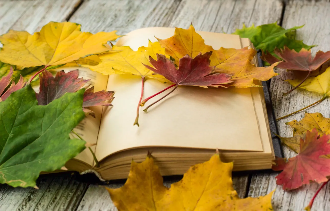 Photo wallpaper autumn, leaves, background, colorful, book, maple, wood, autumn