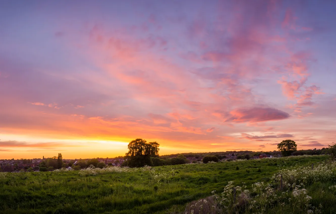 Photo wallpaper field, summer, the sky, clouds, light, trees, dawn, dal