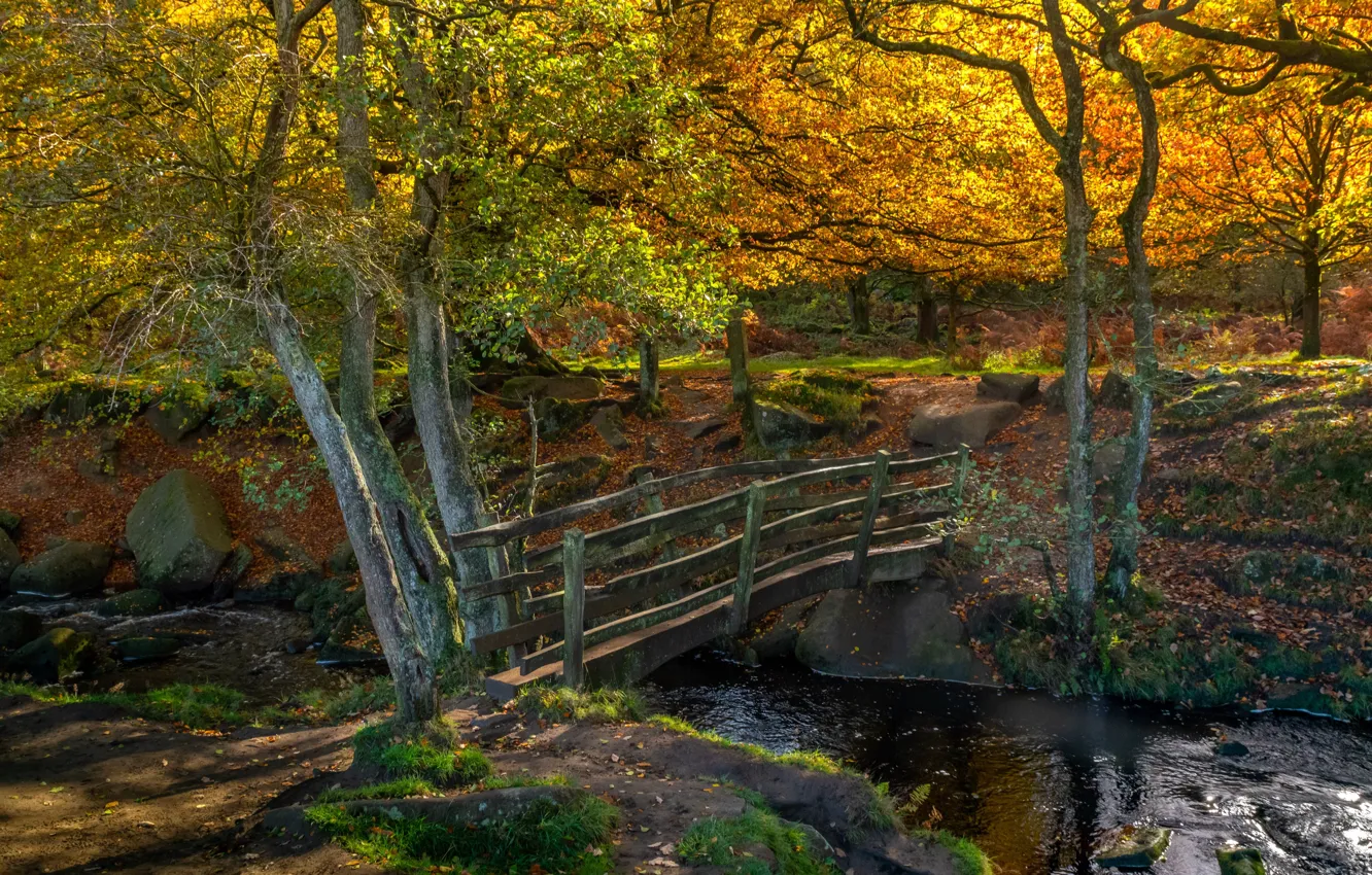 Photo wallpaper autumn, forest, trees, landscape, nature, stones, river, the bridge