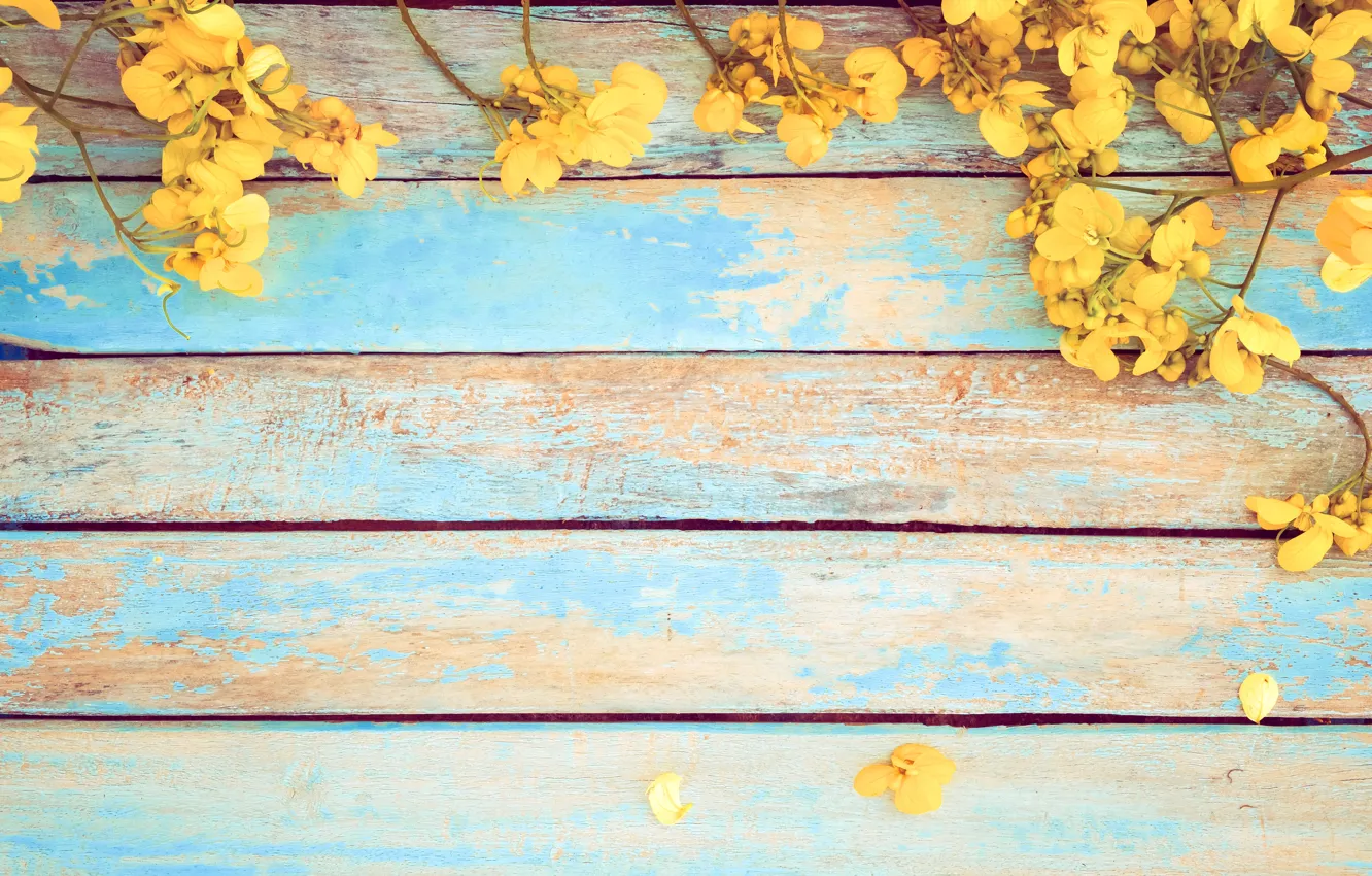 Photo wallpaper flowers, spring, yellow, vintage, yellow, wood, flowers, spring