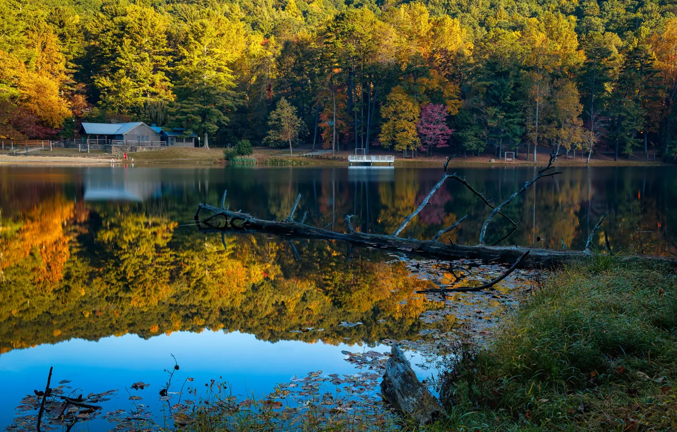 Photo wallpaper autumn, forest, the sun, trees, lake, Park, shore, USA