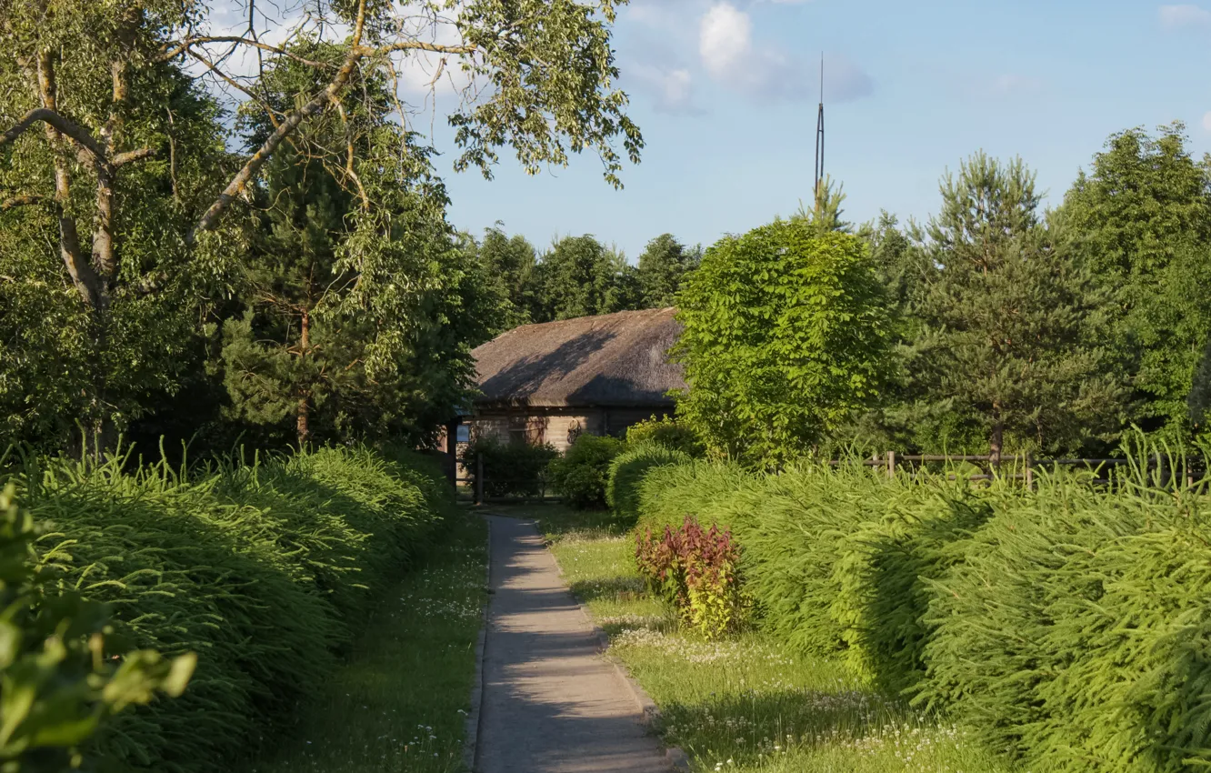 Photo wallpaper forest, the sky, grass, trees, flowers, the fence, the evening, house